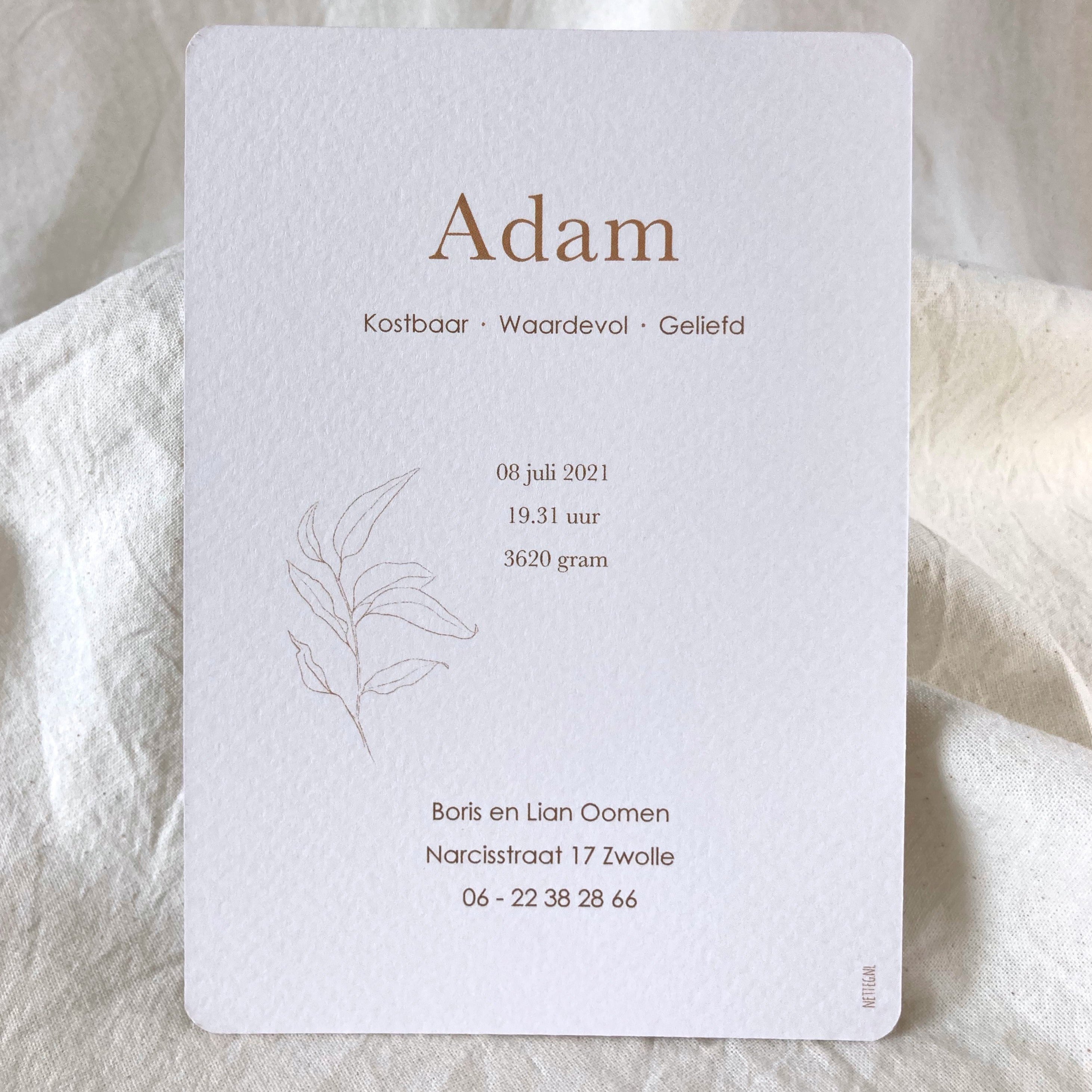 Geboortekaartje Adam | Bruin