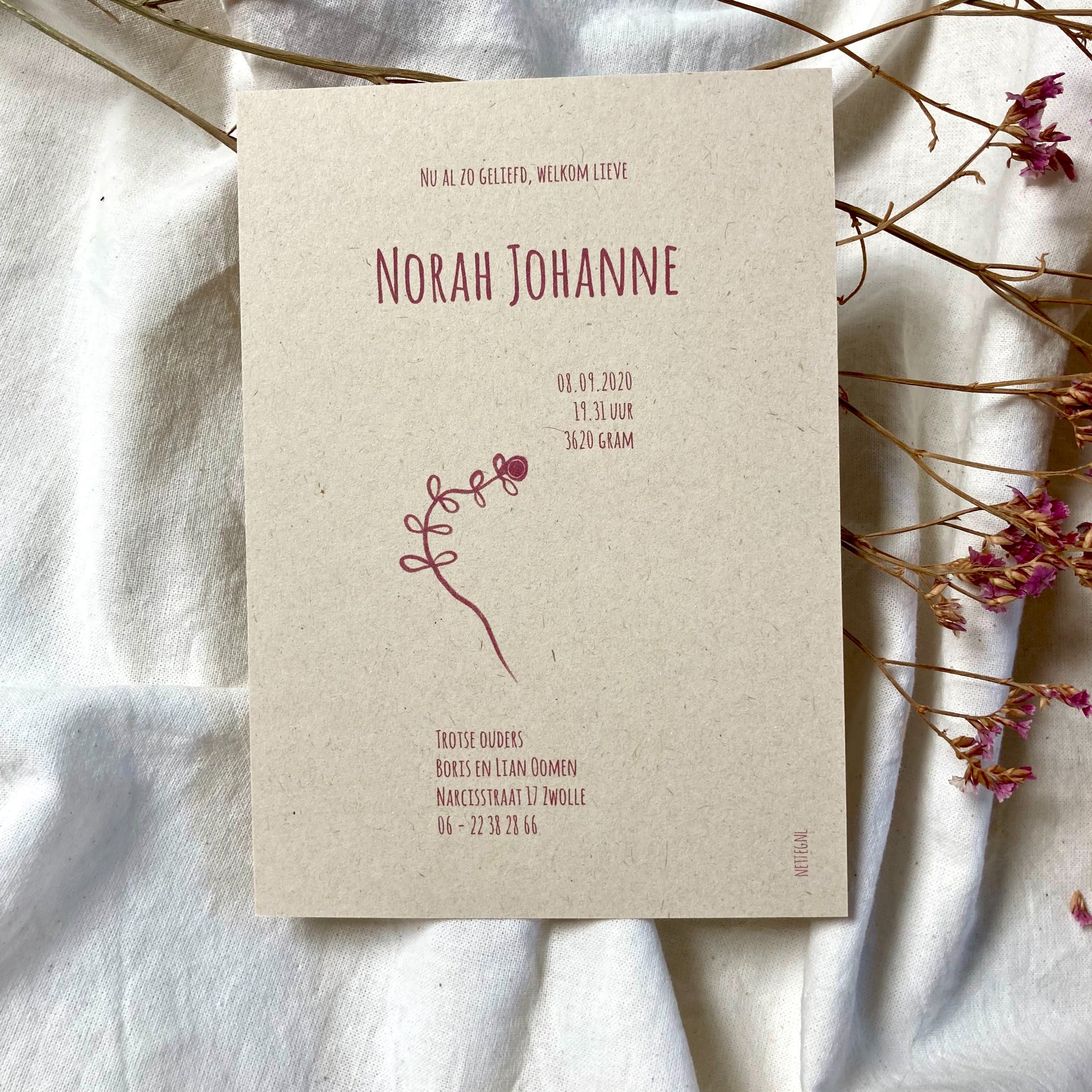 Geboortekaartje Norah | Zandkleurig