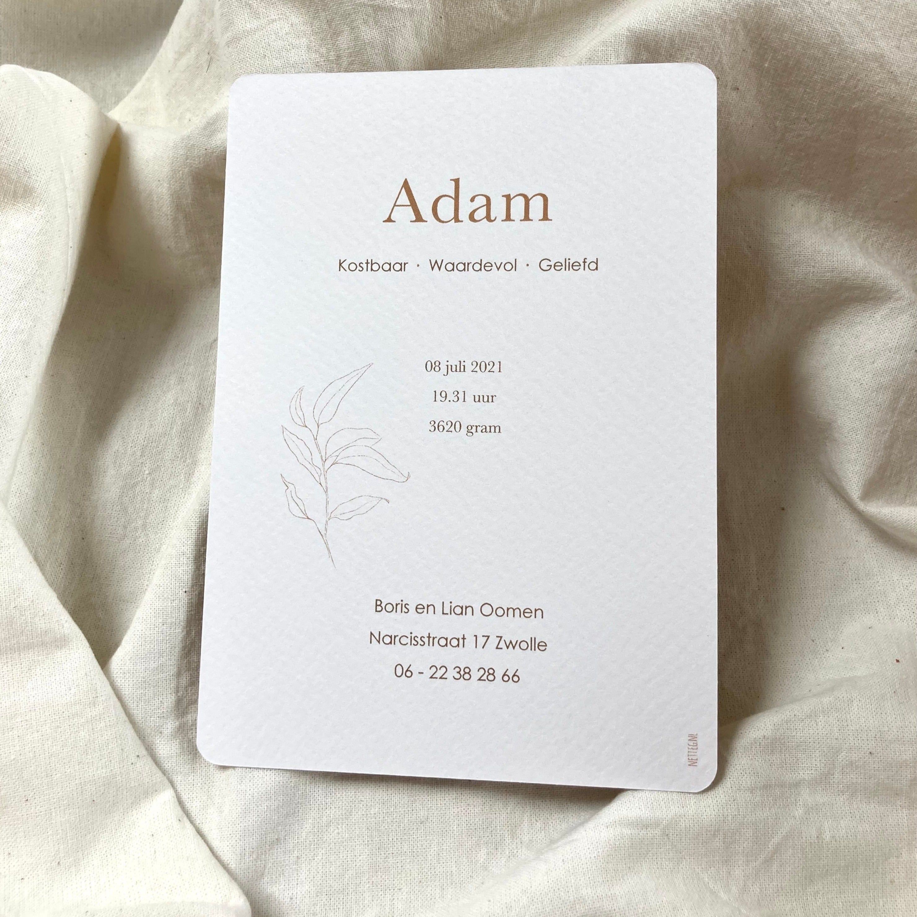Geboortekaartje Adam | Bruin