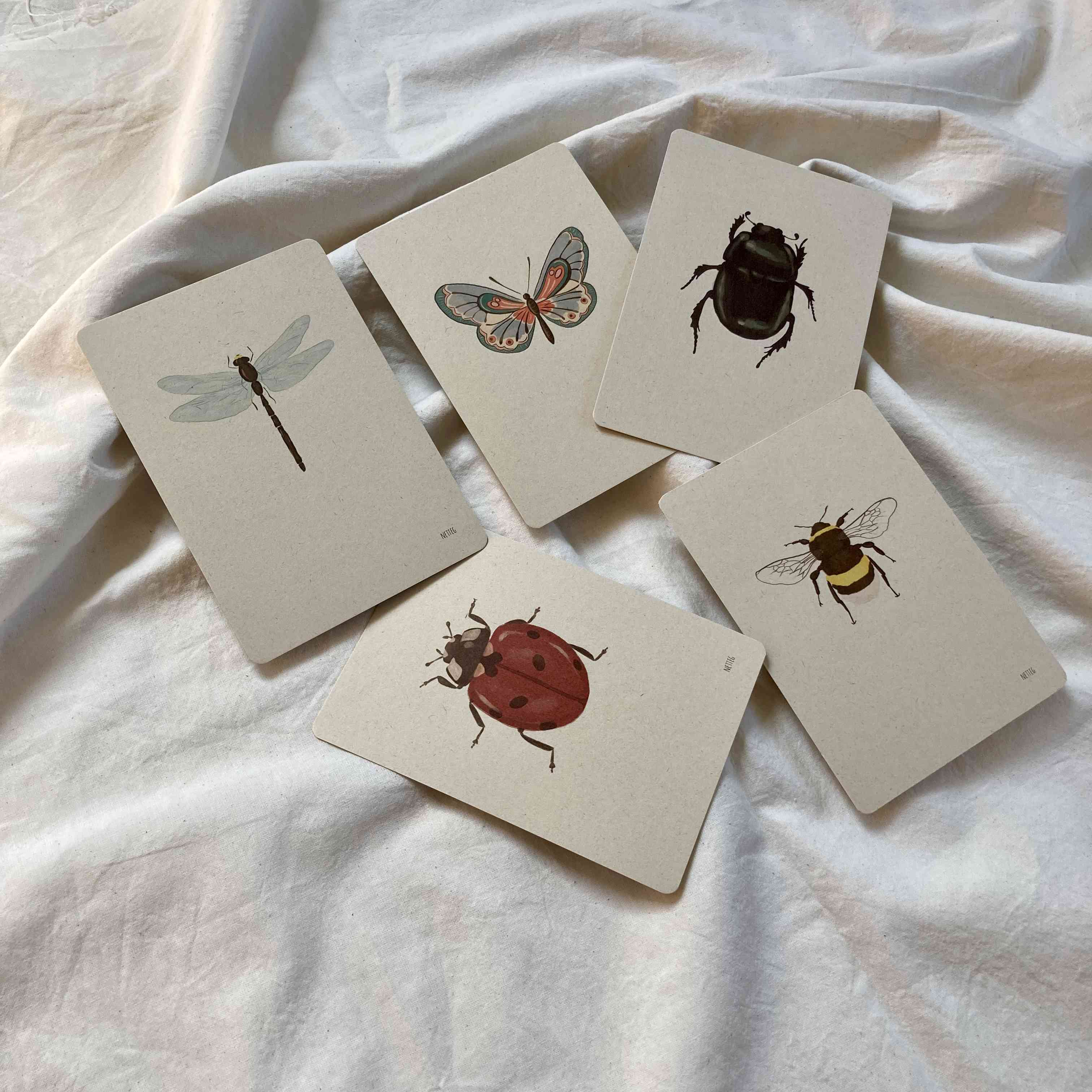 Kaartenset Insecten
