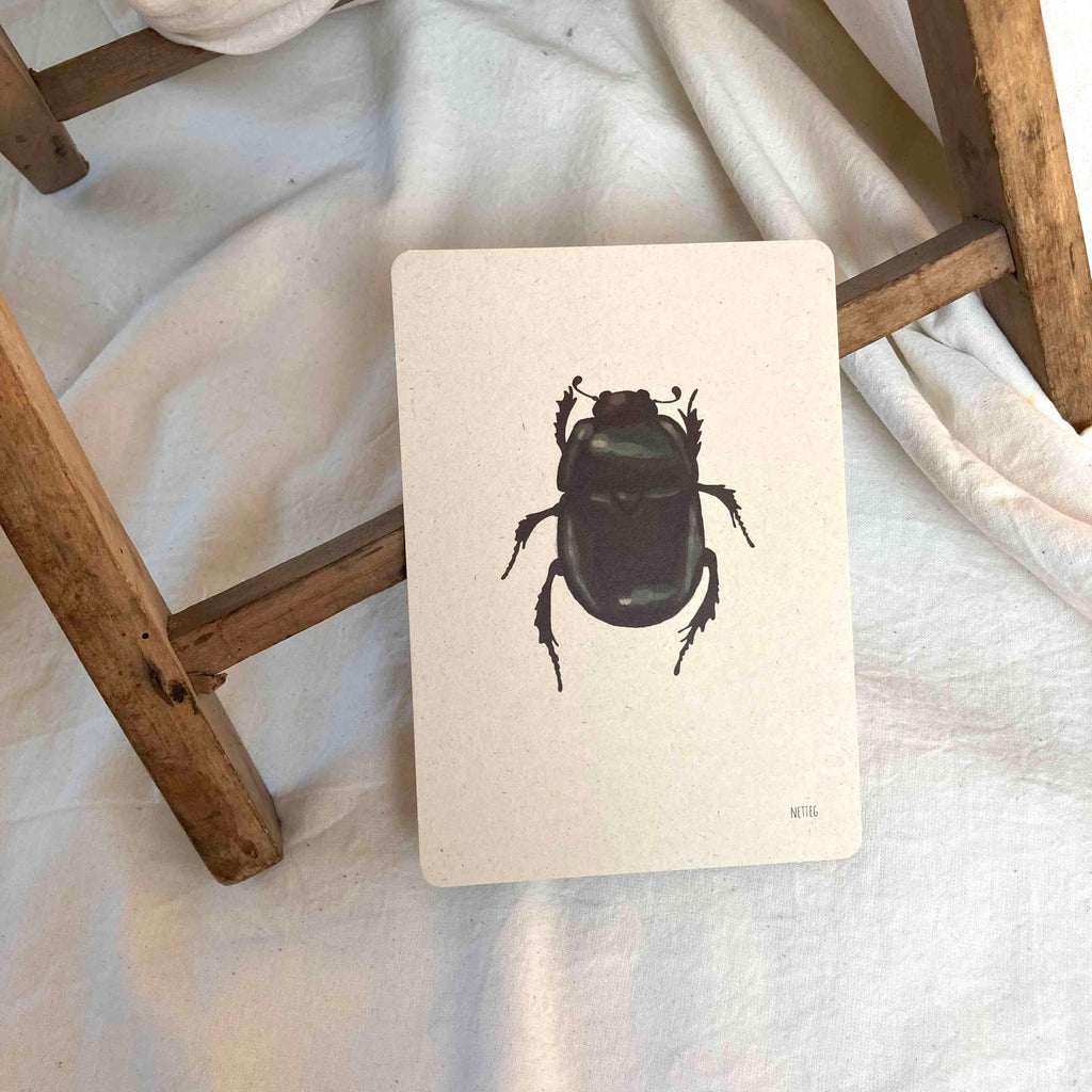 Kaartenset Insecten