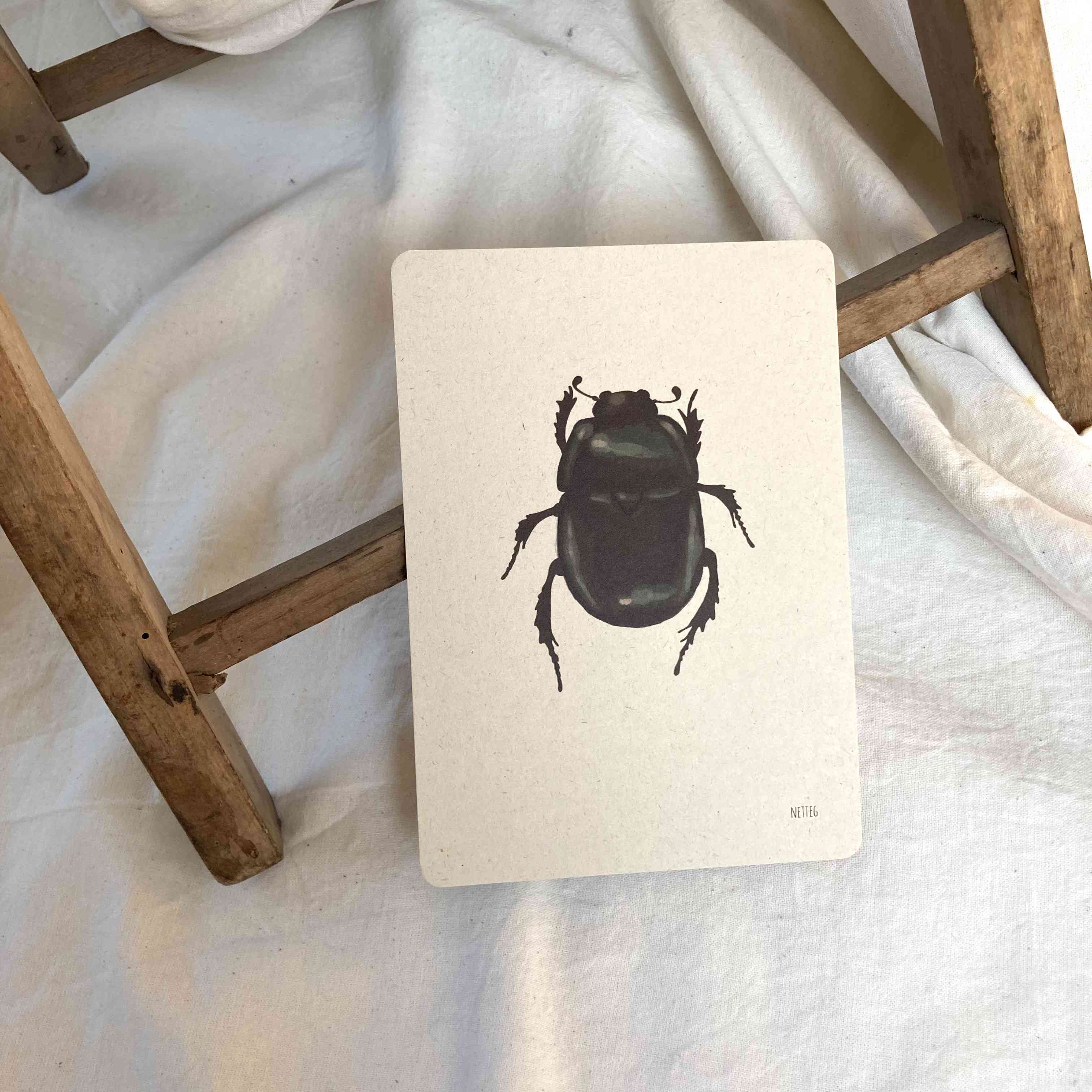 Kaartenset Insecten