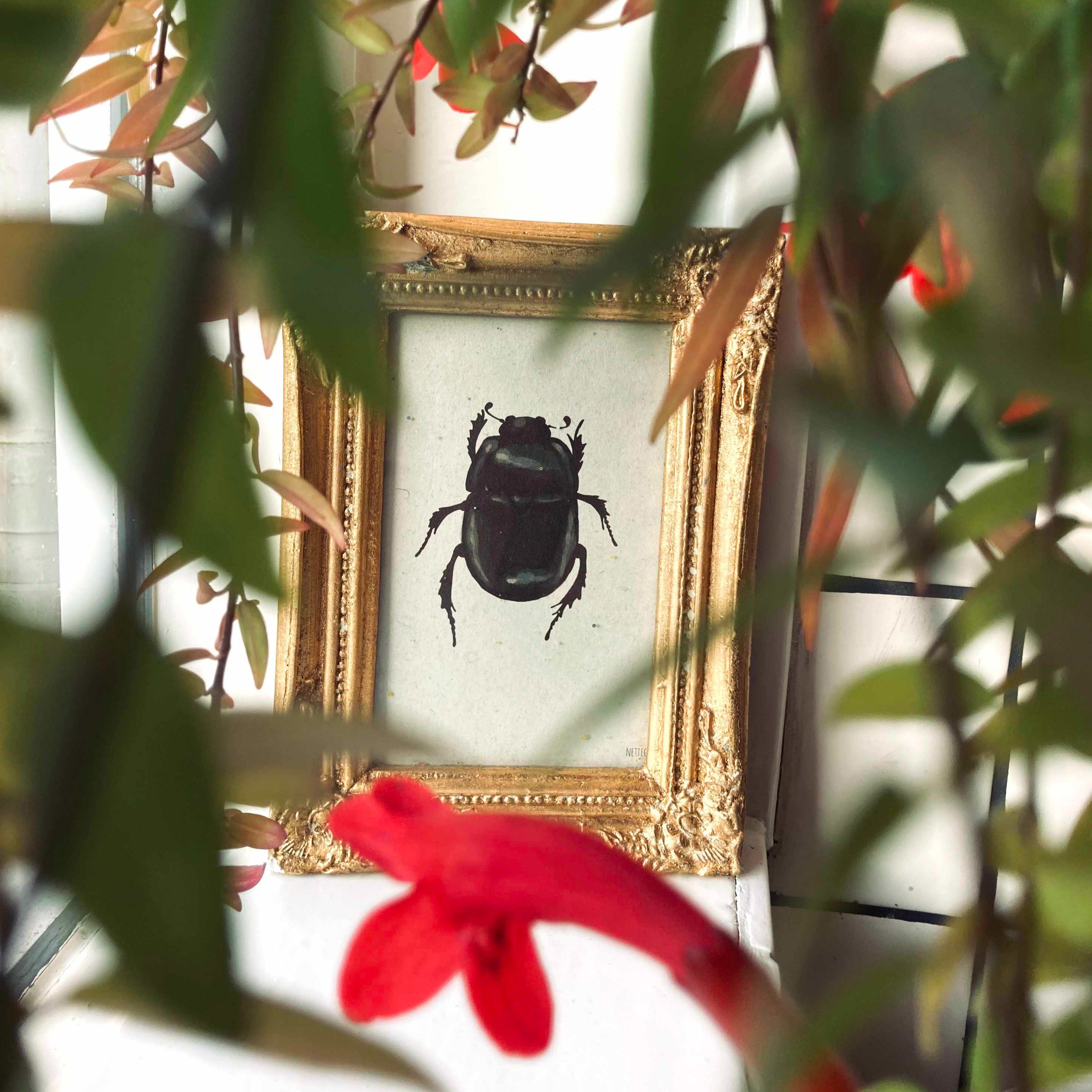 Kaartenset Insecten