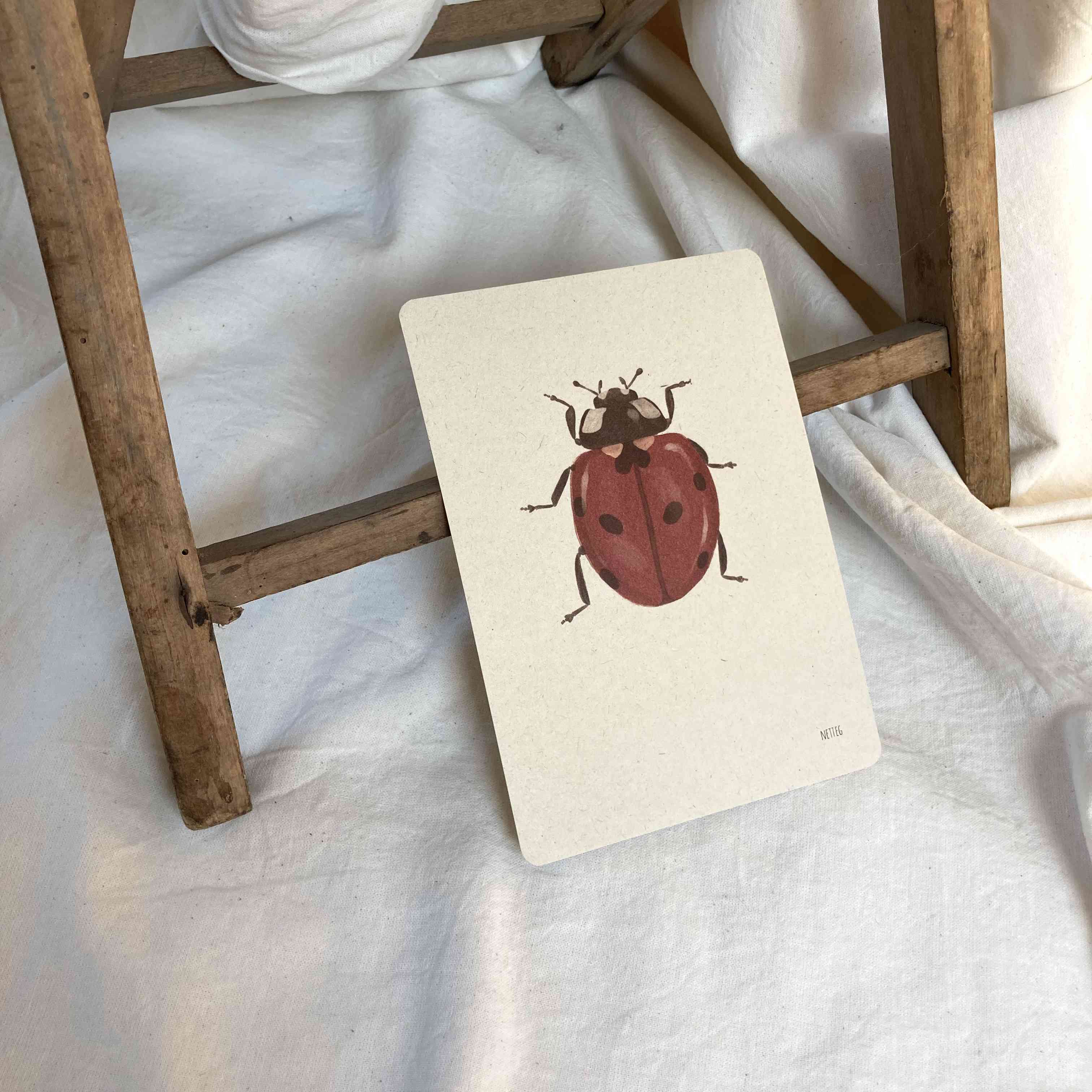 Kaartenset Insecten